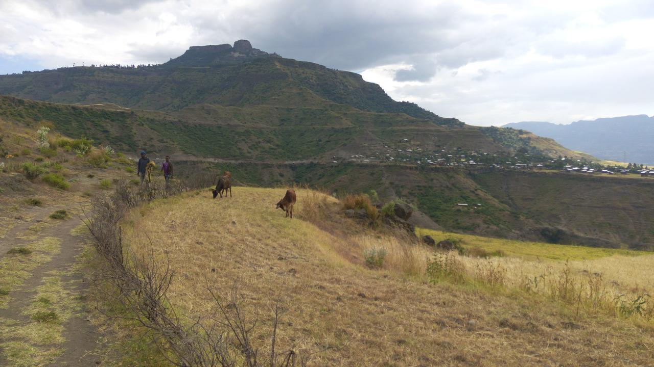 Zan-Seyoum Hotel Lalībela Buitenkant foto